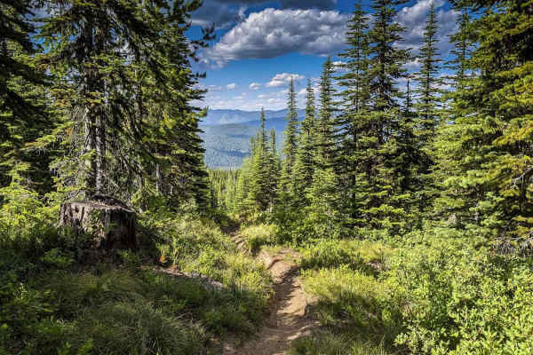Granite Ridge Trail 239