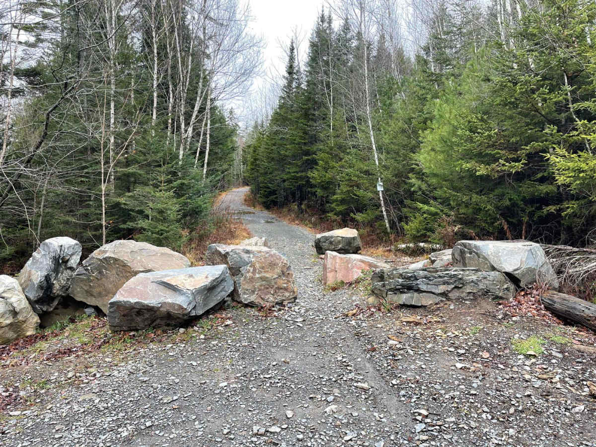 King Lake Trail photo 5