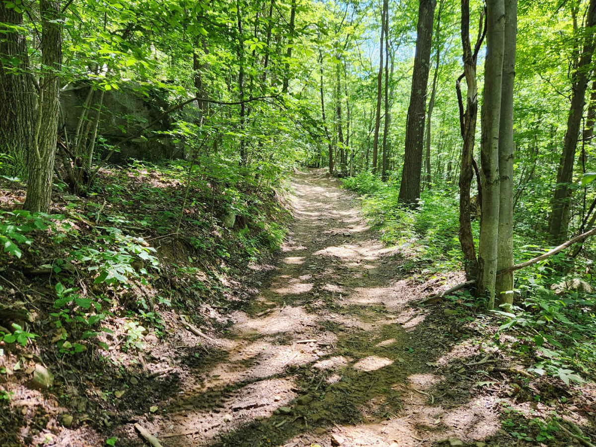 Lower Branch - Rock Run Recreation Area photo 5