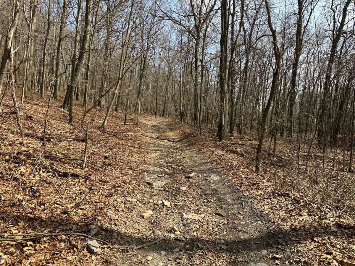 Ashland 6 photo 3