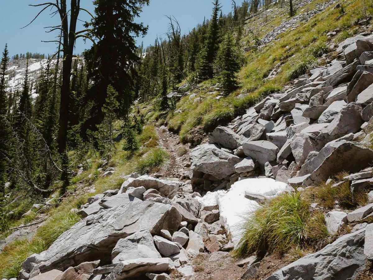 Ditch Creek photo 6