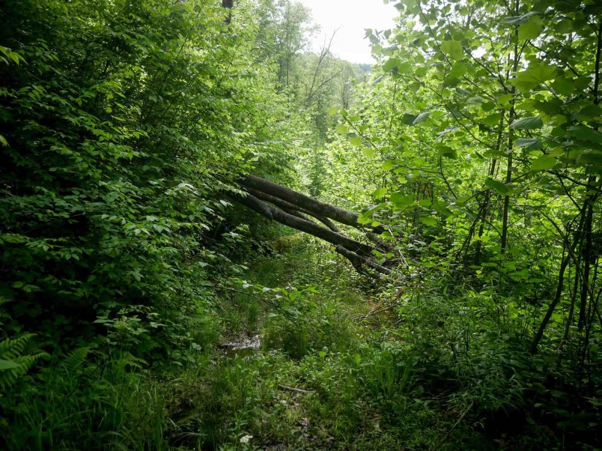 B195 photo 4