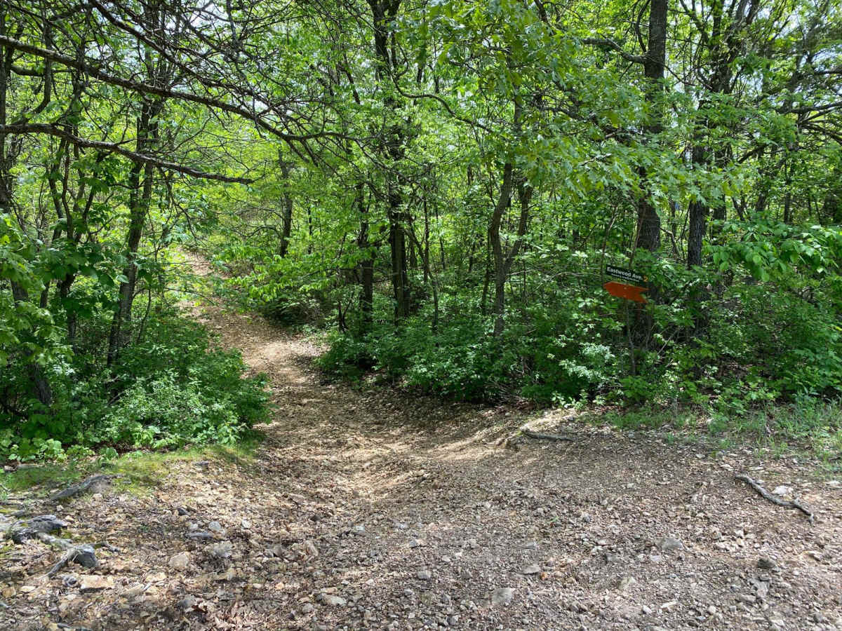 Eastwood Drive trail photo