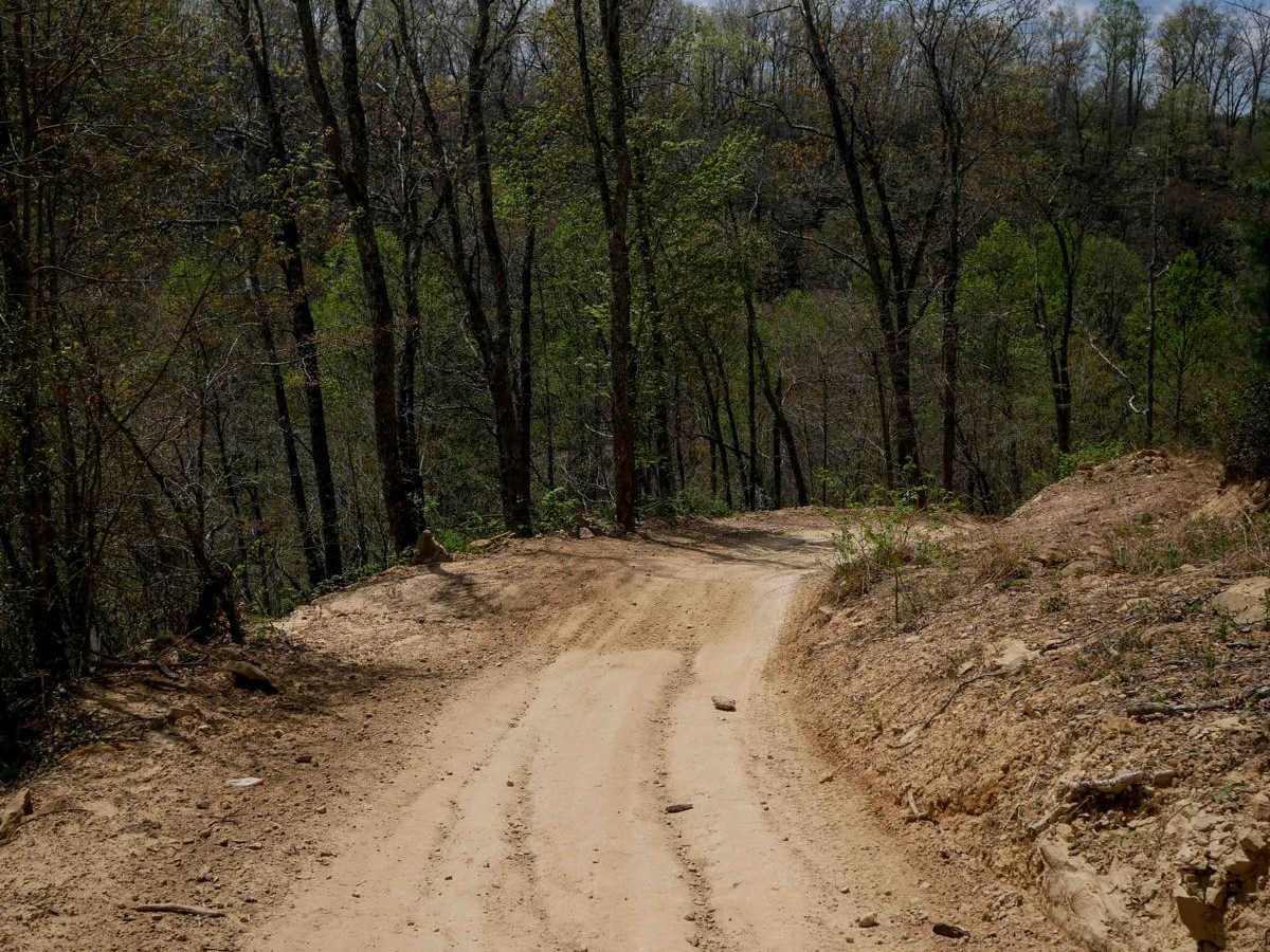 P13 trail photo