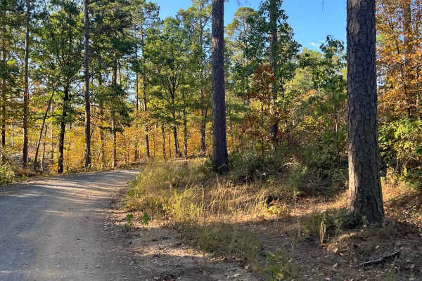 Nunley Road