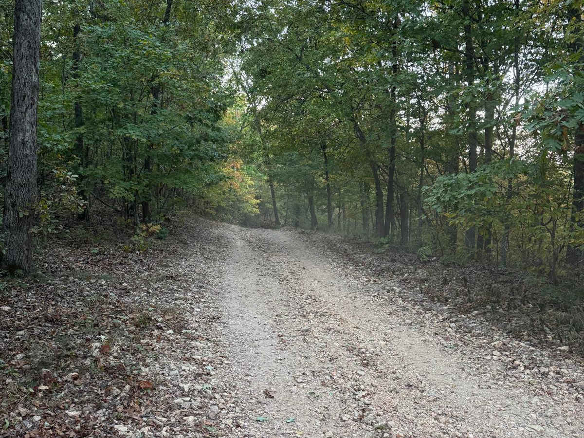Assault Opossum Hill 16 photo 5