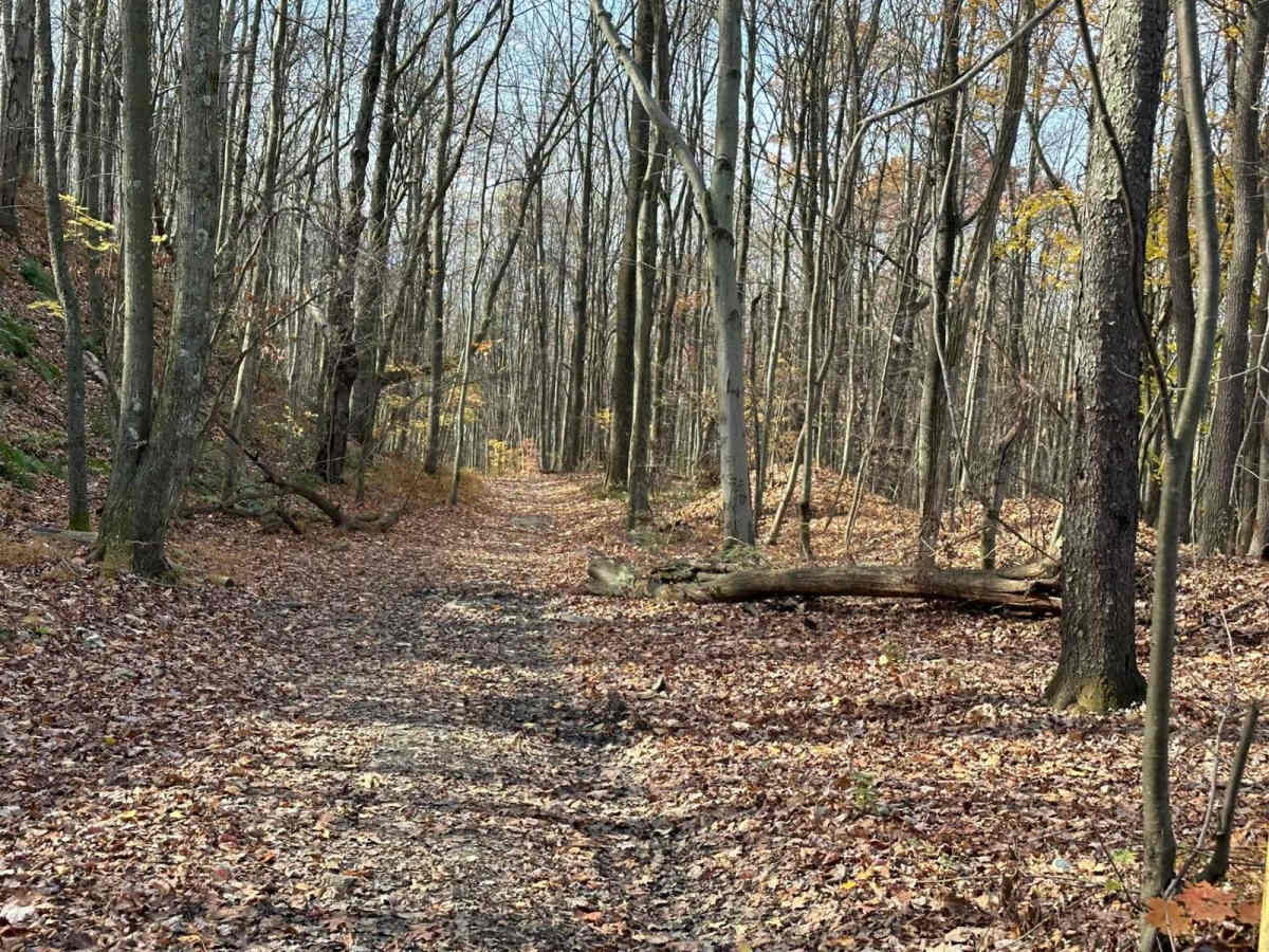 Ashland 168 photo 2