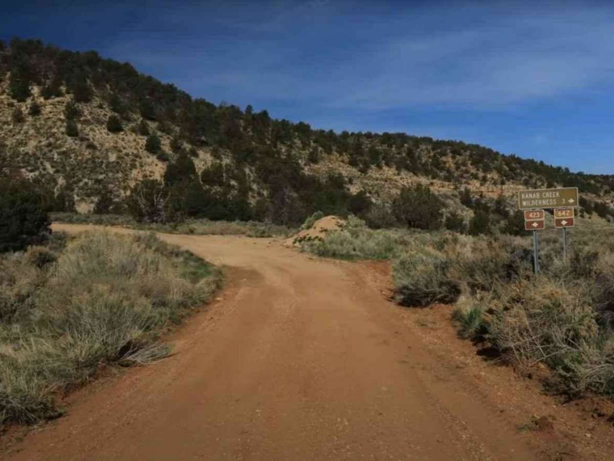 Snake Gulch - FR642 photo 2