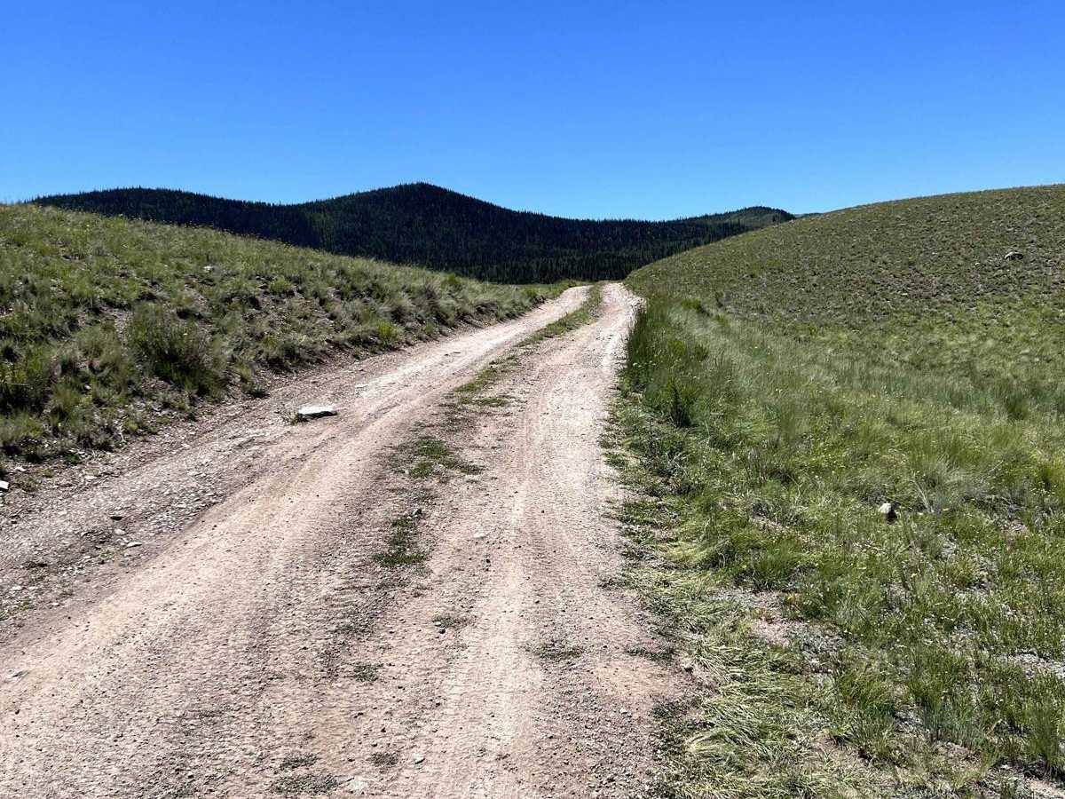 FR 556 - Clear Creek Ridge photo 3