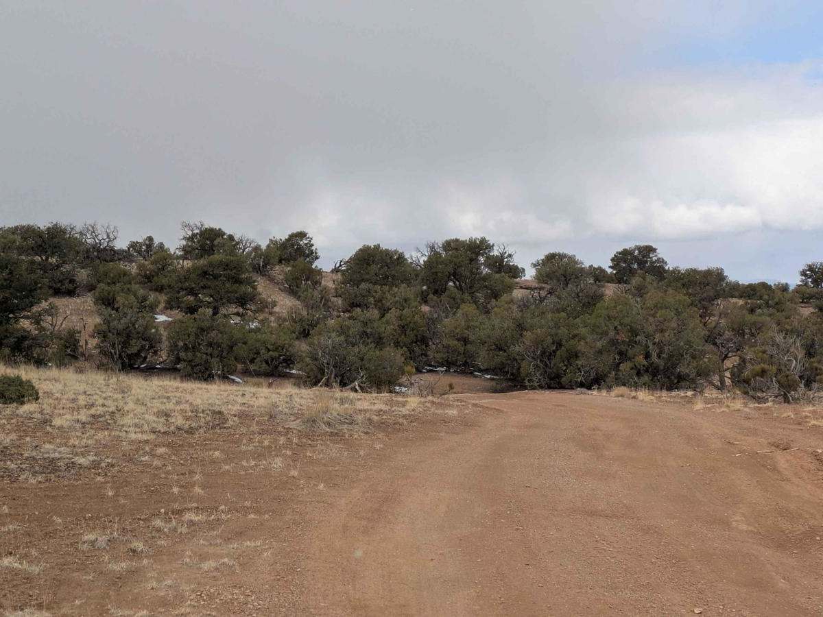 Wedge Overlook Loop 1 photo 4