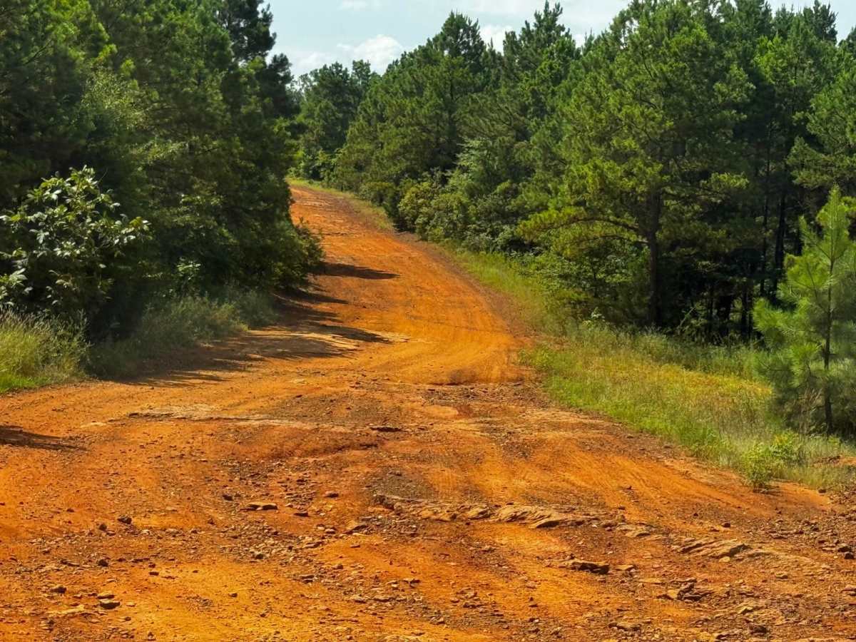Southeast Main Road photo 2