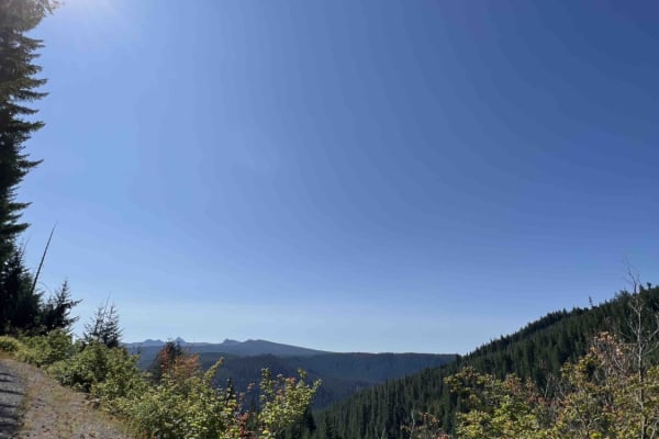 Bingham Ridge 2253