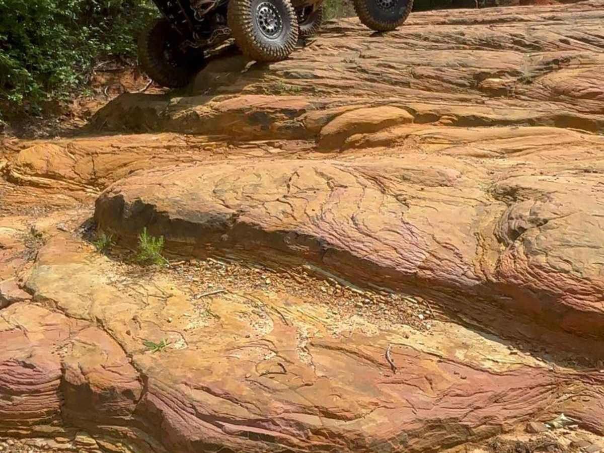 Baldie 44 trail photo