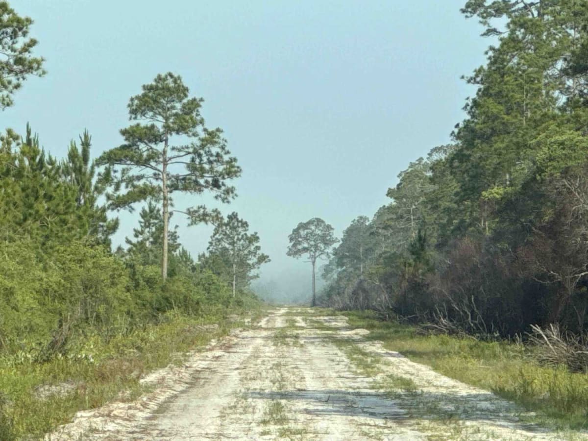 Boundary Road trail photo