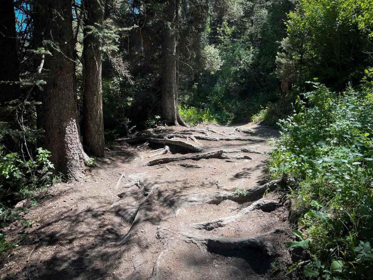 South Horseshoe trail photo