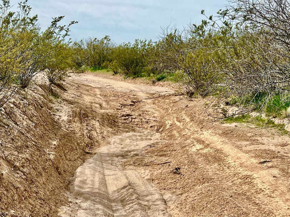 Black Mountain West photo 5