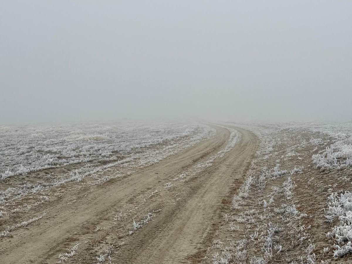 Hogup Finger Road photo 2