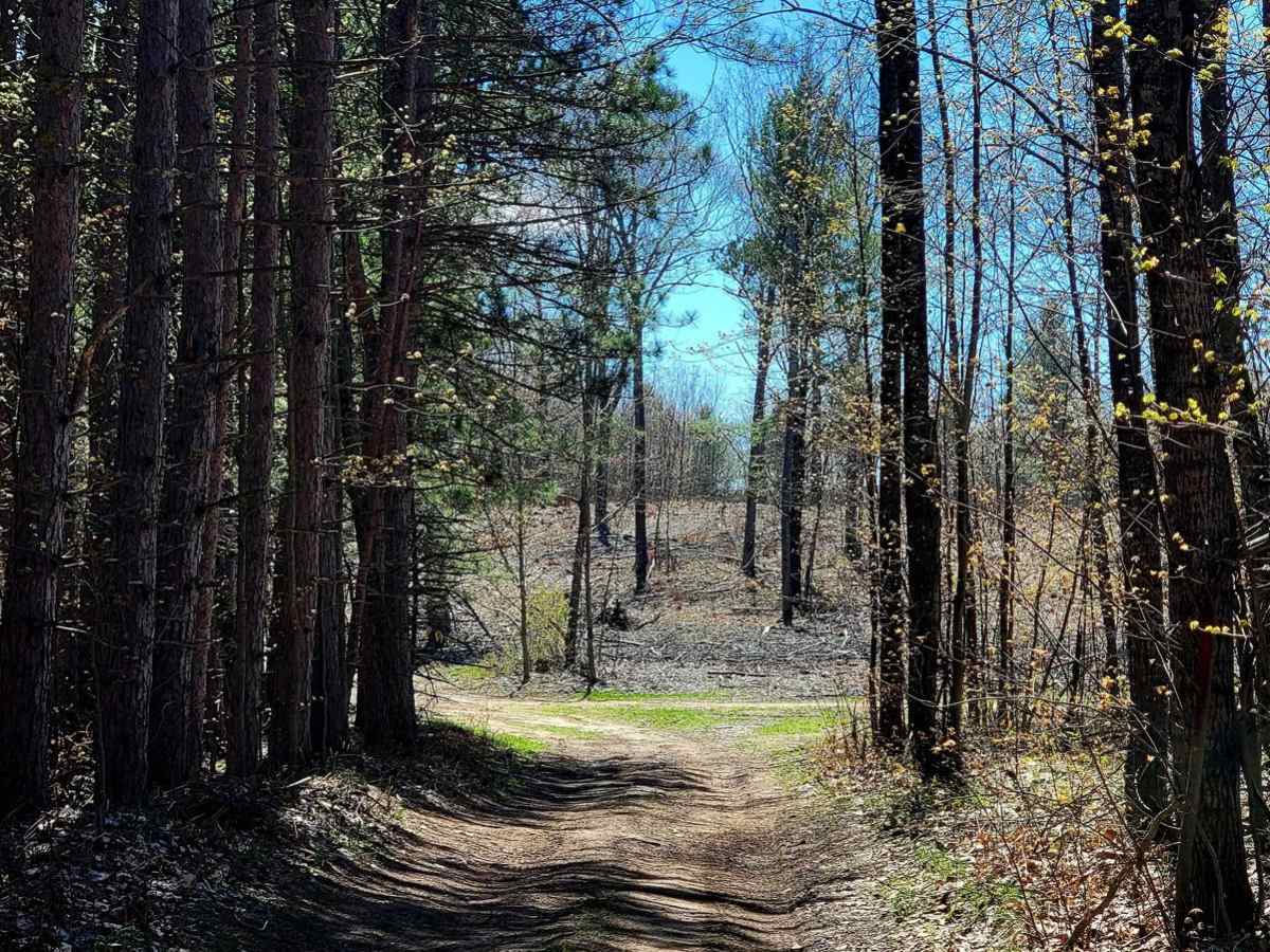 Afton Area/Fisherman Trail Connector photo 4