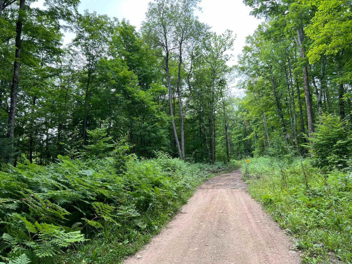 Jim Hausinger Memorial Trail photo 3