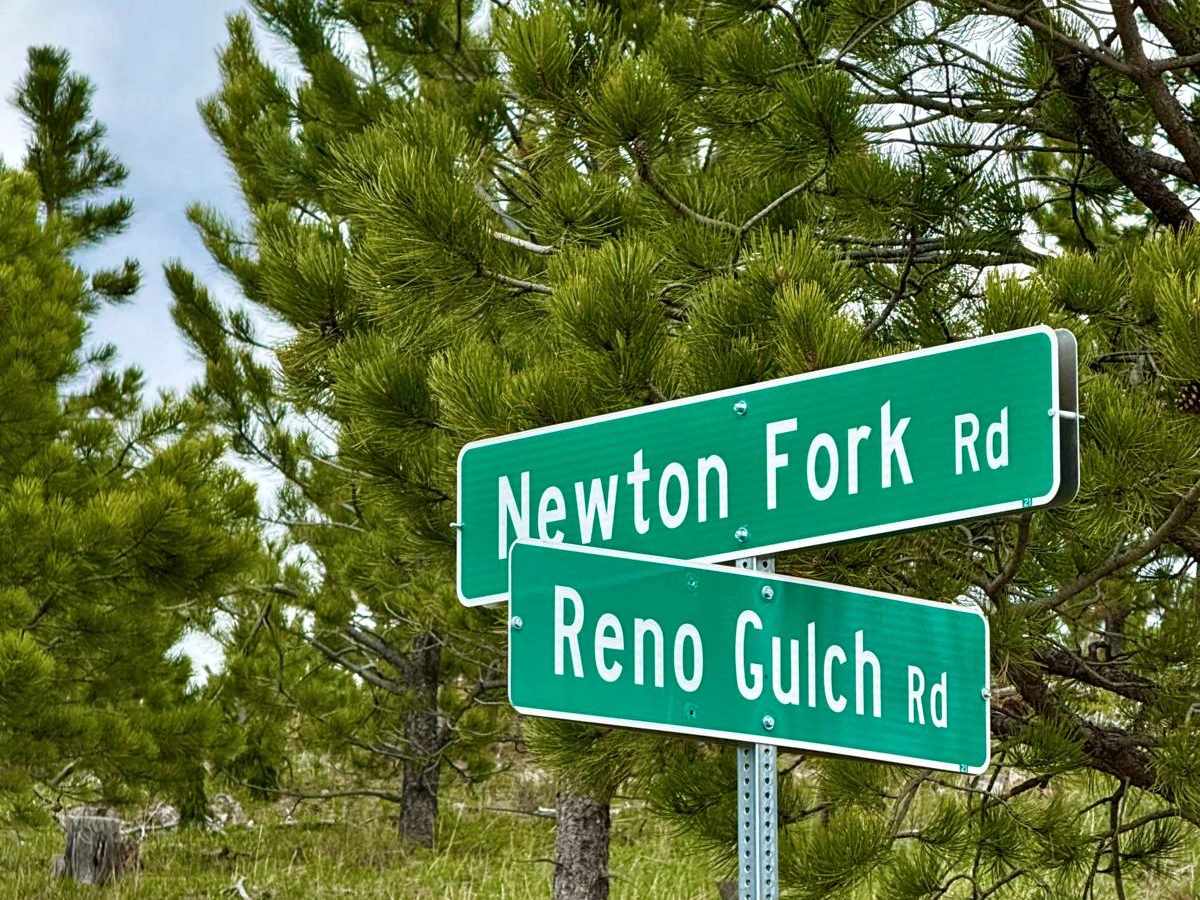 Newton Fork Road - FS 304 trail photo