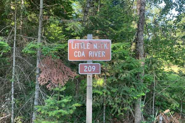 North Fork Coeur d'Alene River (209)