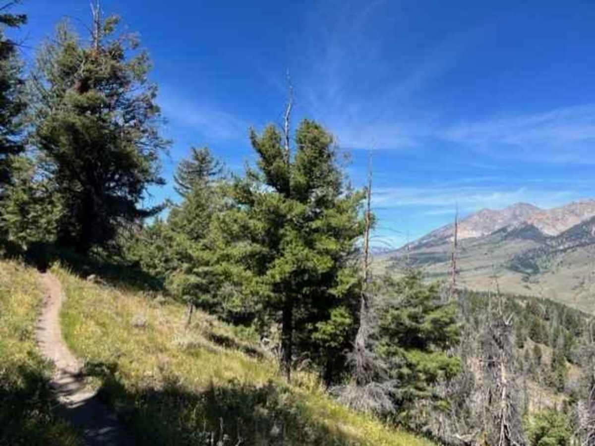 Oregon Gulch to Fox Peak trail photo