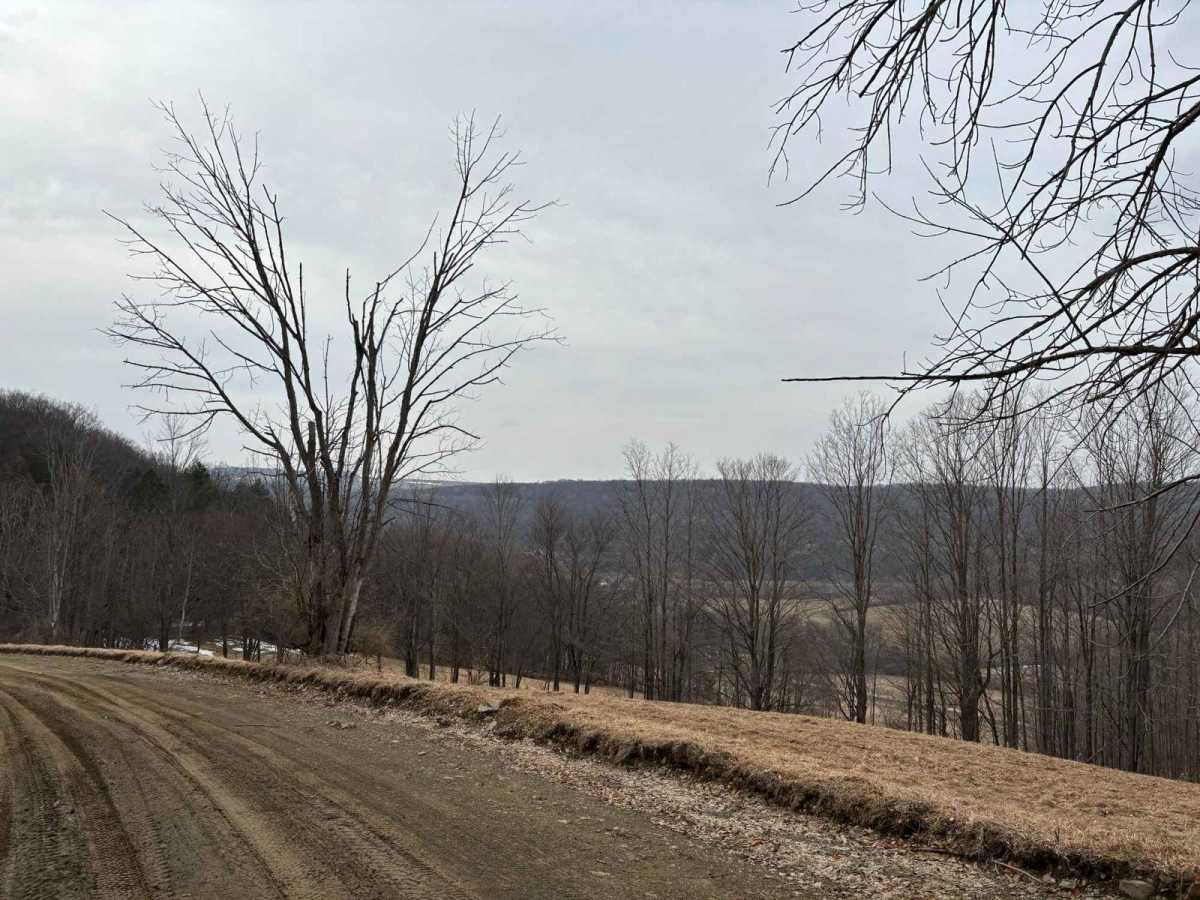 Canen Hill Road photo 5