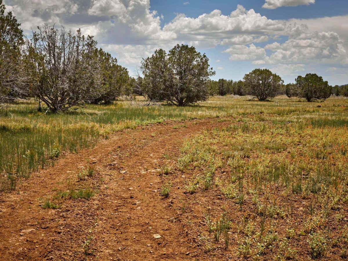 Prairie Slide photo 3