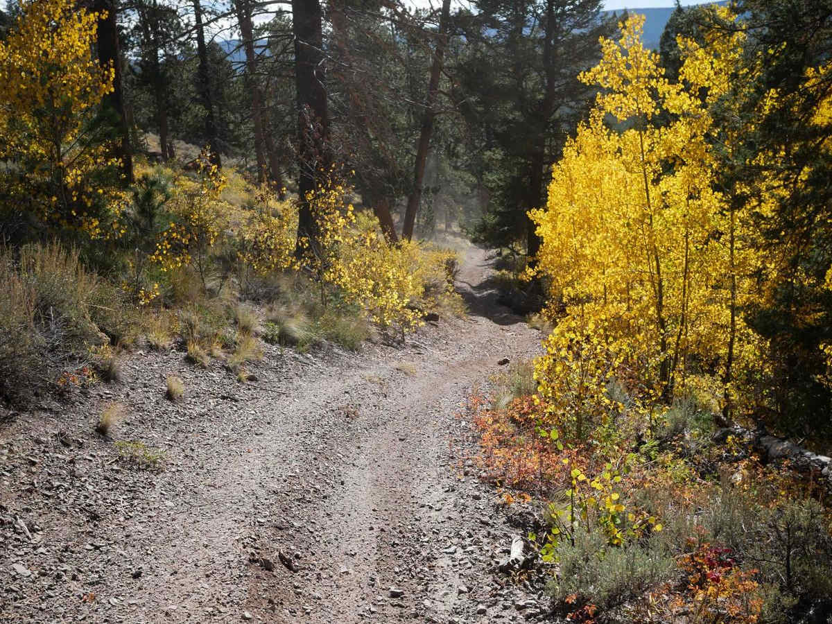 643 ATV Trail photo 6