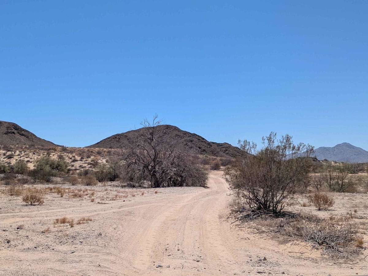 Cerros Norte de San Felipe trail photo