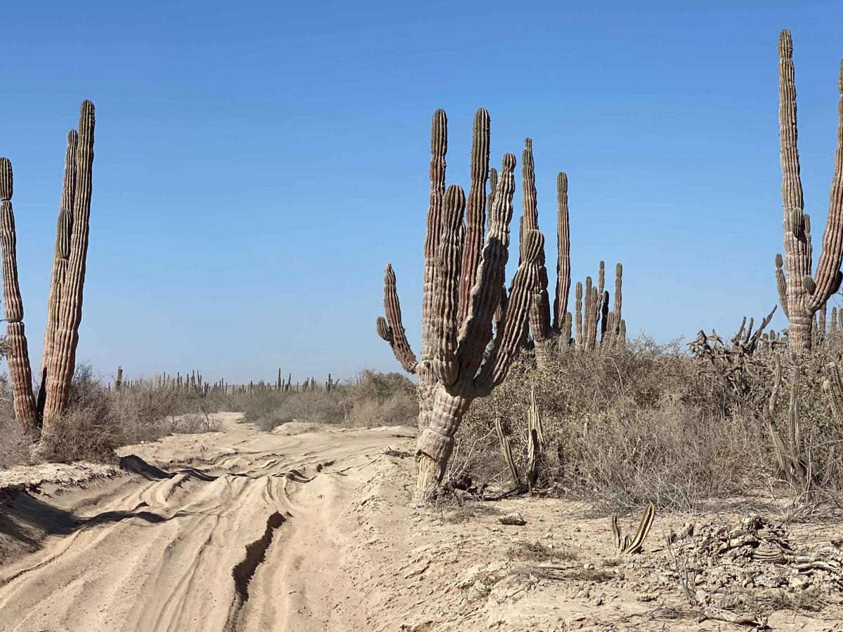 Santa Fe Ruta Playa photo 5