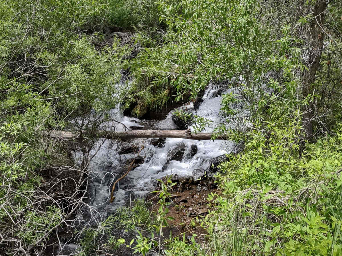 Tenmile Creek Trail photo 4