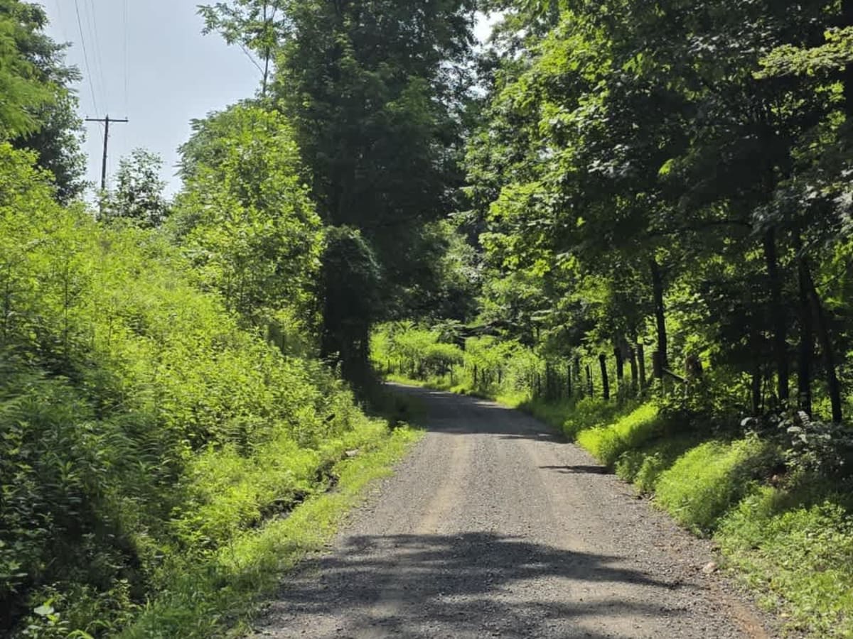 Dry Branch to Dixon Creek Road - Macon County Tour photo 4