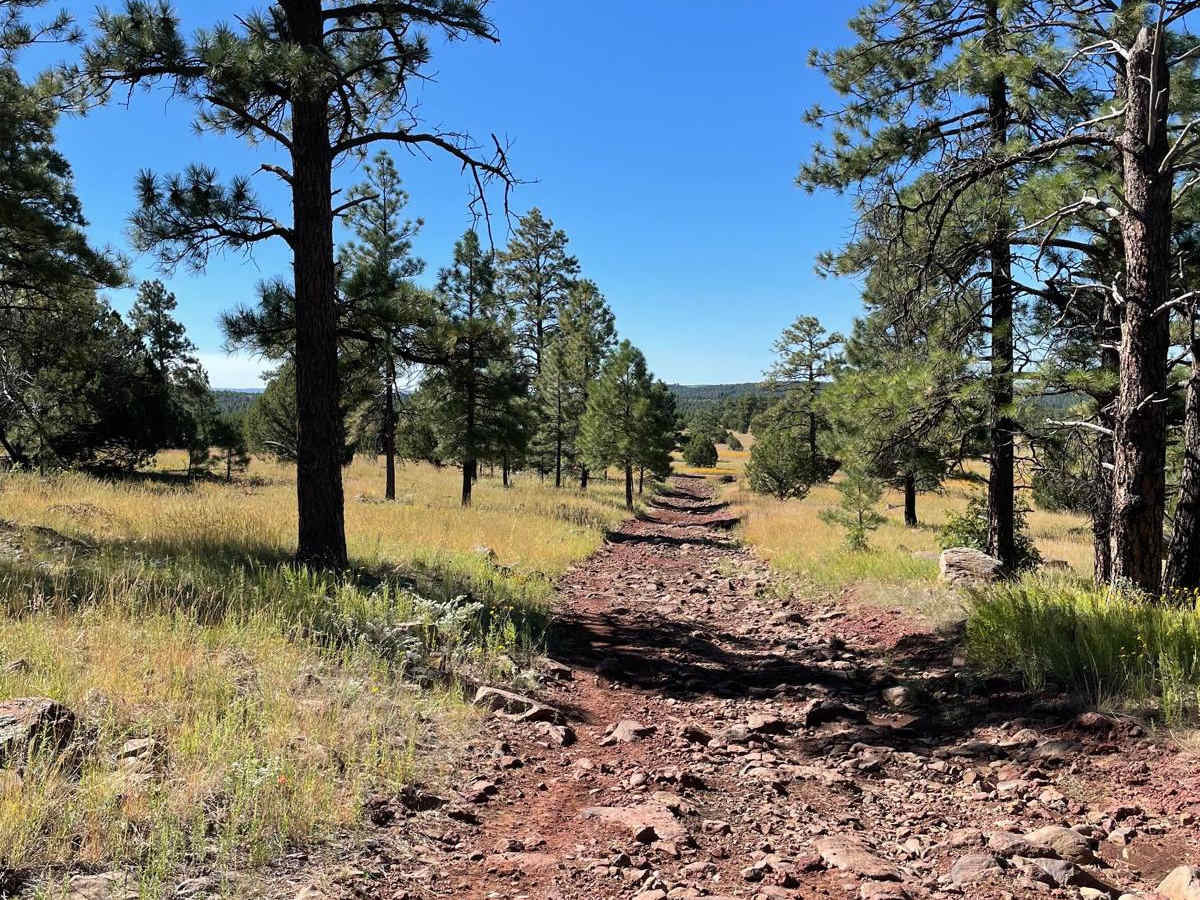 FS 229F trail photo