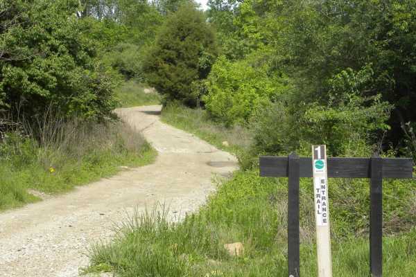 Trail 1
