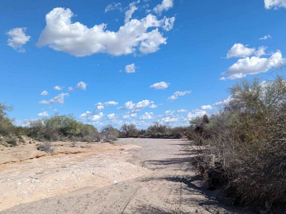 Jackrabbit Wash photo 4