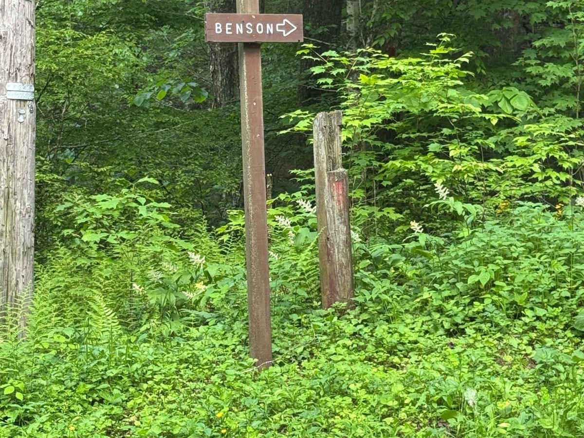 Benson Road trail photo