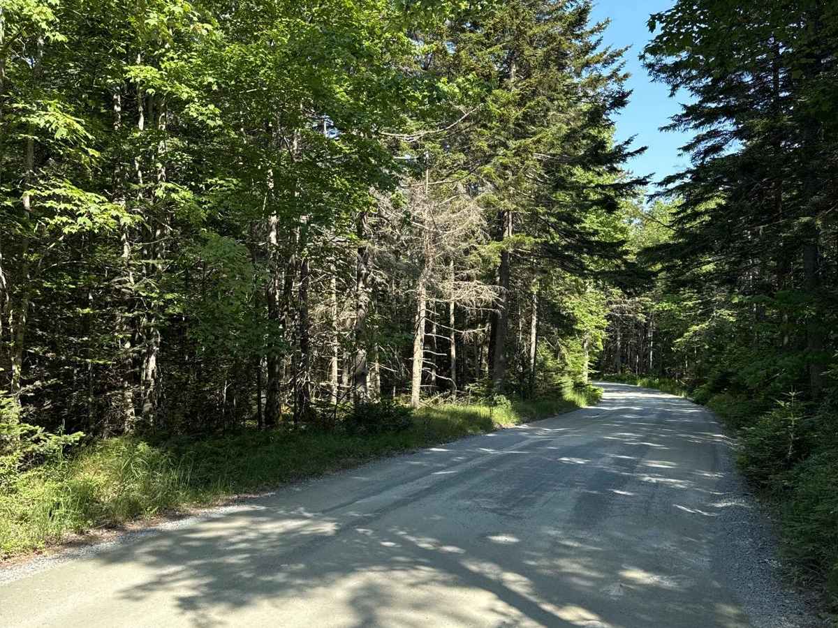 Seal Cove Road photo 3