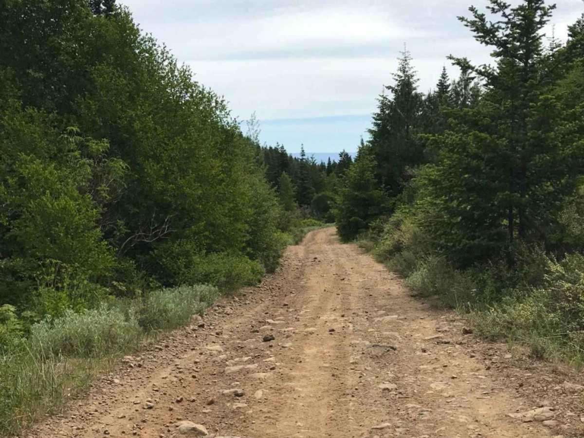 Tamarack Ridge Road photo 6