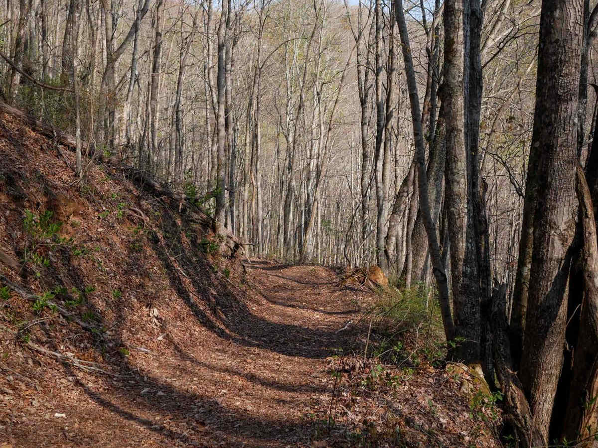 Sunset Ridge Trail 6 photo 5