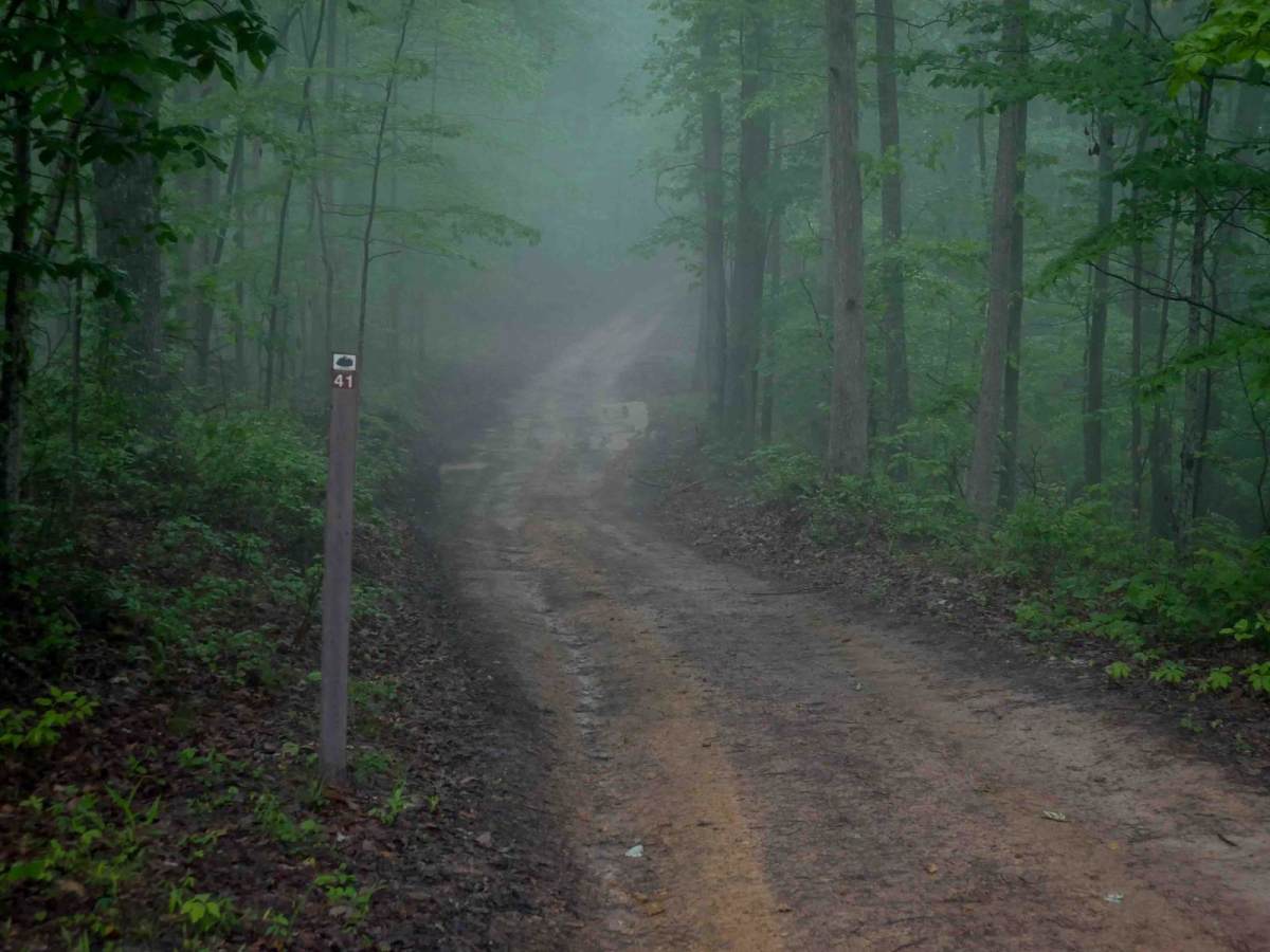 IB 41 trail photo