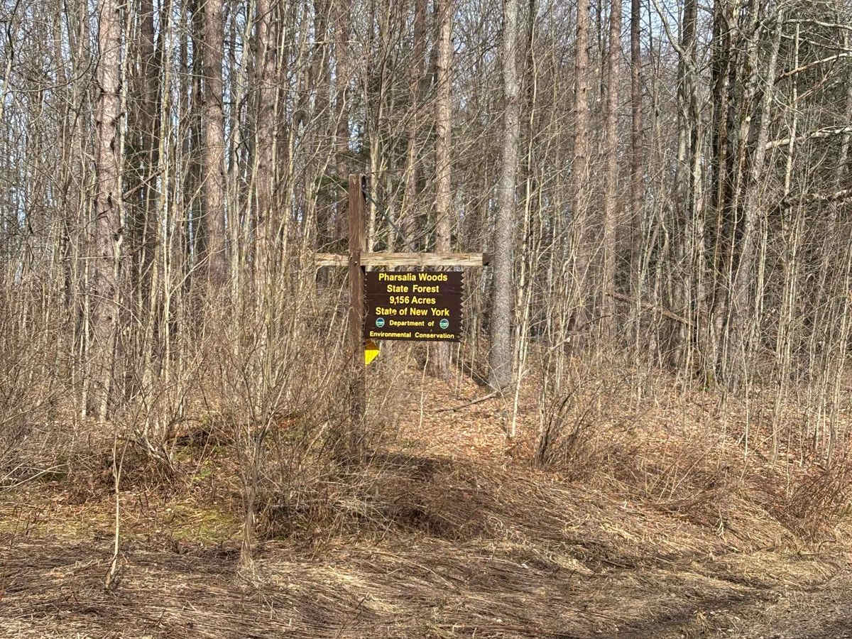 Old CCC Truck Trail photo 6
