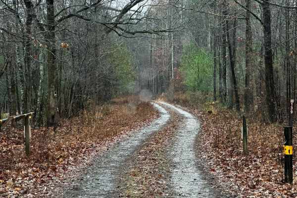 Black Mountain Road - FSR 139