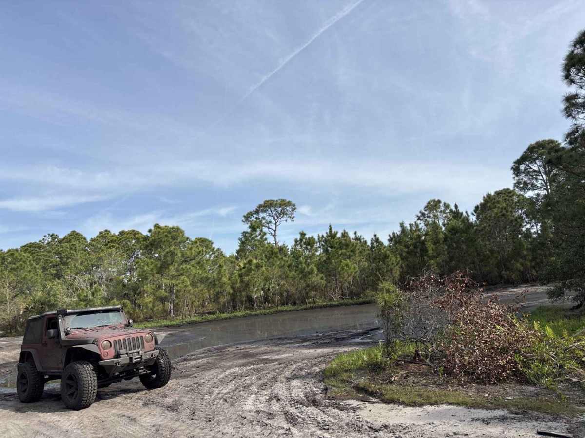Sawgrass Trail photo 5