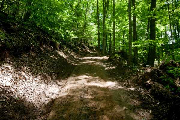 Trail 24