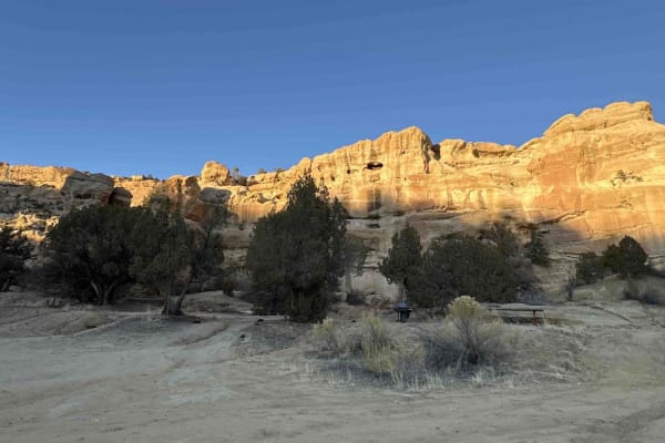 Cutter Dam