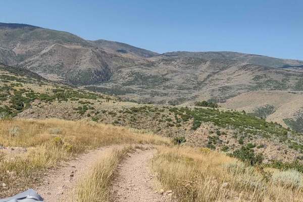 FS Trail # 40608