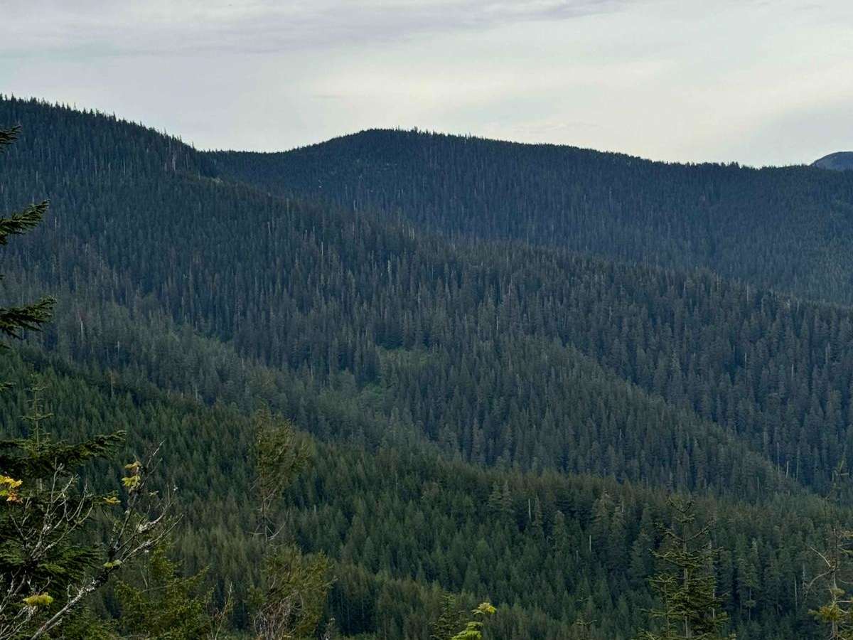 Zig Zag Lake photo 4