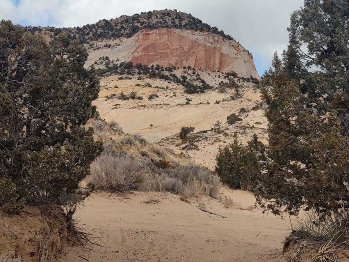 BLM 102H (Offshoot of White Tower Trail) photo 4