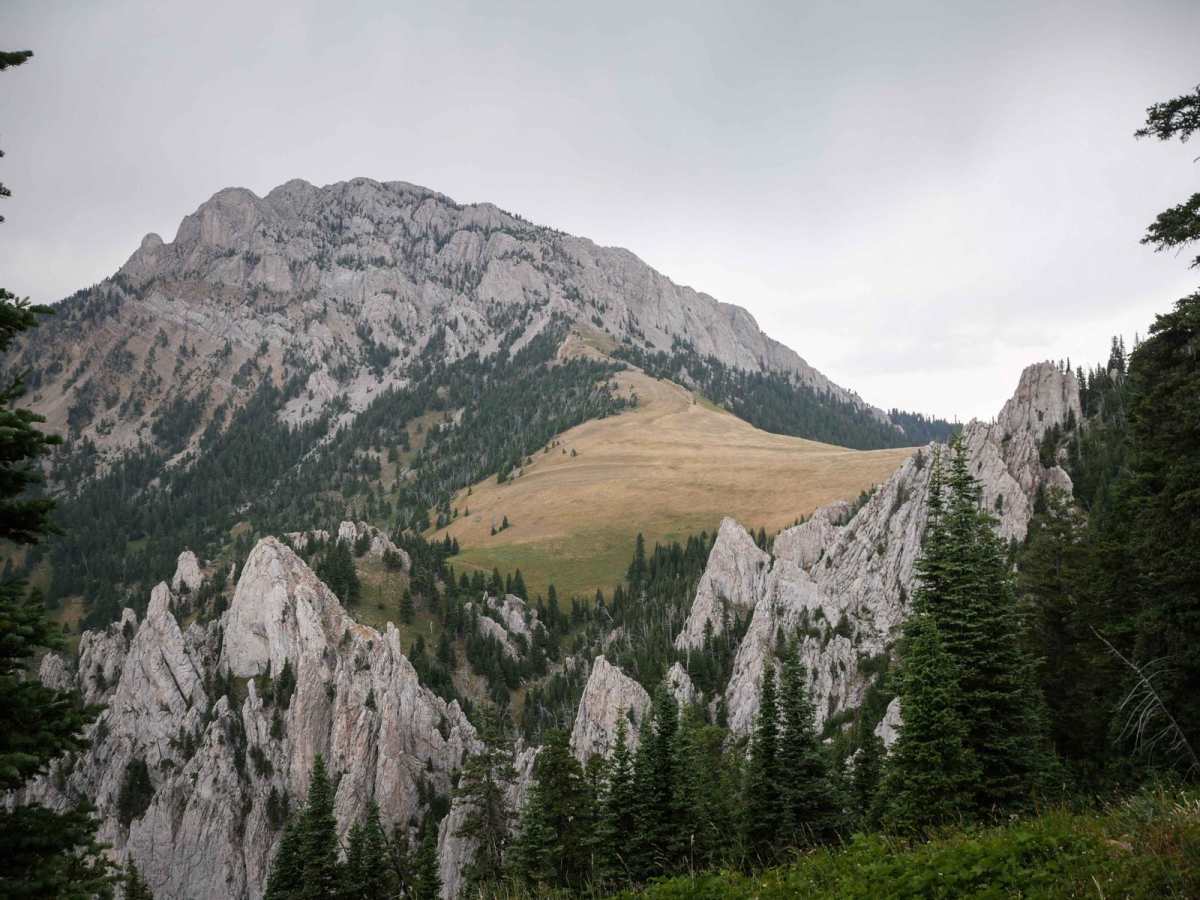 Bridger Foothills photo 2